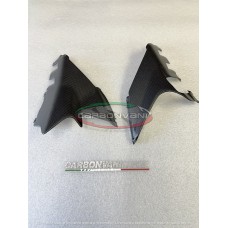 Carbonvani - Ducati Panigale / Streetfighter V4 Carbon Fiber Exhaust Delete Inserts (2025+)